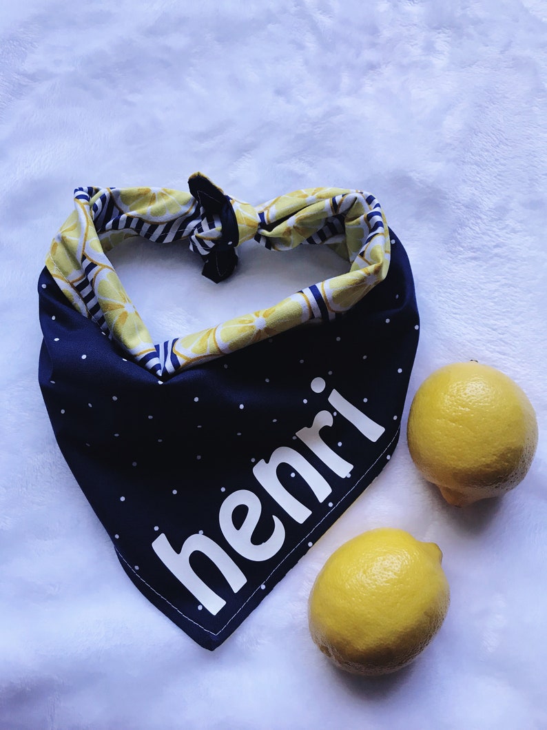 Lemon Dog BandanaBandanaNavyPolka DotsDog AccessoriesReversible BandanaStripesNauticalFruitYellowFashionistaSummerPicnic