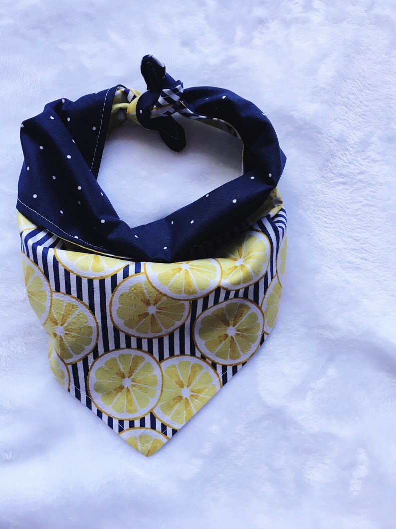 Lemon Dog BandanaBandanaNavyPolka DotsDog AccessoriesReversible BandanaStripesNauticalFruitYellowFashionistaSummerPicnic