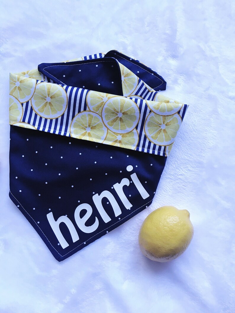 Lemon Dog BandanaBandanaNavyPolka DotsDog AccessoriesReversible BandanaStripesNauticalFruitYellowFashionistaSummerPicnic