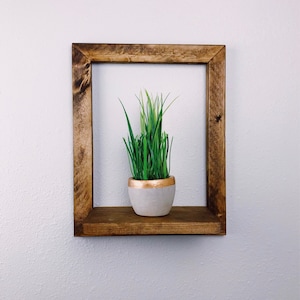 Plant Shelf Framed Shelf Wall Shelf Hanging Shelf Home Decor Shelf Plant Holder Wall Decor Succulent Shelf Wall Art image 1