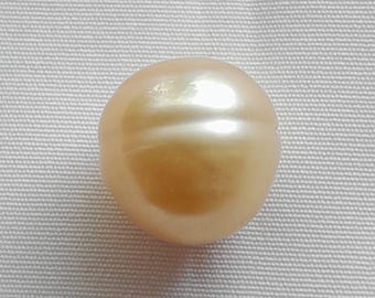 11-12 mm 天然ゴールドドロップバロック南洋真珠、インドネシア産の
