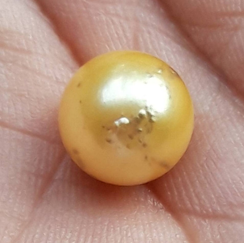 Loose Pearl yellow Baroque Pearl Near Around South Sea Pearl Natural Jewelry Supply for Pendant or Ring Xl Size