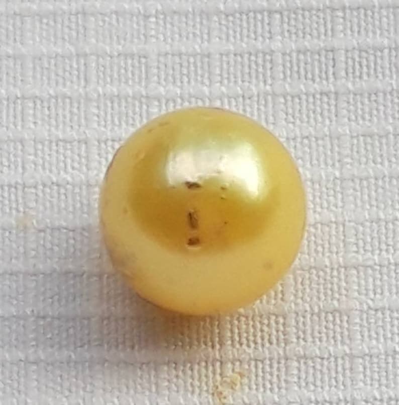 Loose Pearl yellow Baroque Pearl Near Around South Sea Pearl Natural Jewelry Supply for Pendant or Ring Xl Size