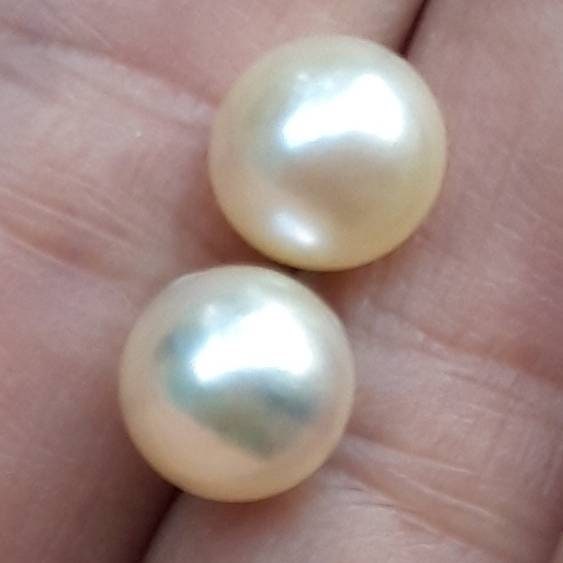 South Sea Pearls, AA1 Quality, Beautiful 10mm 17mm Chocolate & Golden South  Sea Pearls 