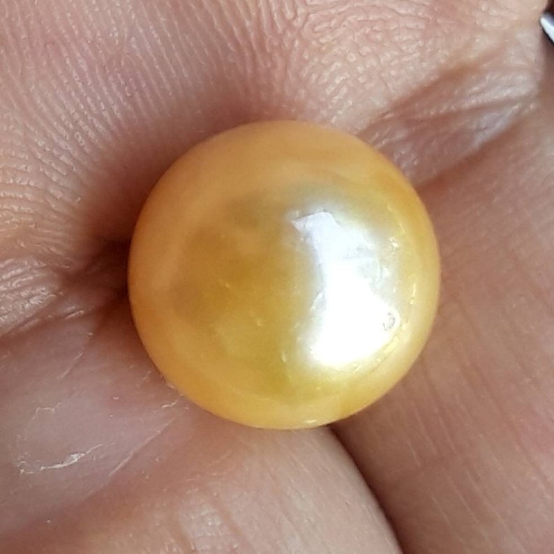 Round South Sea Pearl Yellow Pearl Loose Pearl Pearl Etsy