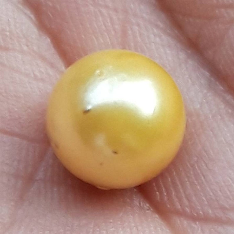 Loose Pearl yellow Baroque Pearl Near Around South Sea Pearl Natural Jewelry Supply for Pendant or Ring Xl Size