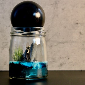 Micro Terrarium with Figurine | Live Terrarium | Air Plant Terrarium | Terrarium Decor | Plant Decor | Botanical Gifts | New Home Gifts