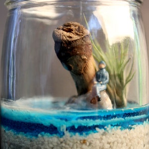 Micro Terrarium with Figurine | Live Terrarium | Air Plant Terrarium | Terrarium Decor | Plant Decor | Botanical Gifts | New Home Gifts