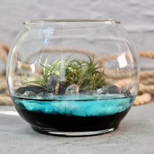 Black Sand Ocean Scene Terrarium | Ocean Terrarium | Small Glass Terrarium | Home Decor Gifts | Plant Gifts | Zen Decor | Plant Gifts