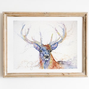 Stag &#39;Monarch&#39;, Watercolour fine art print, Red Deer Stag Watercolour, from an Original Painting by Wildlife Artist Sandi Mower