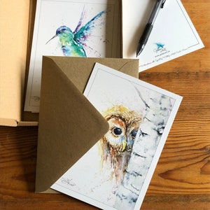 Voli di fantasia. 10 grandi cartoline 7 "x5" di arte della fauna selvatica, set in scatola di mini stampe artistiche con buste, dell'artista acquerello Sandi Mower
