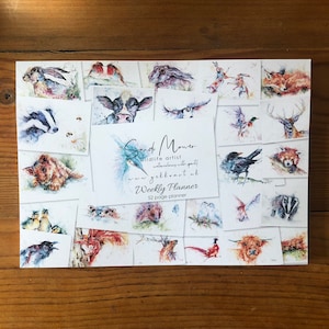 Agenda settimanale da 52 pagine, formato A4, sottomano da scrivania Wildlife Art, pagine da strappare senza data, interamente illustrato dall'artista dell'acquerello Sandi Mower.