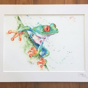 Red Eyed Tree Frog, Limited Edition Print, Colourful Frog Giclee Art Print, Signed Watercolour Painting by Wildlife Artist Sandi Mower image 4