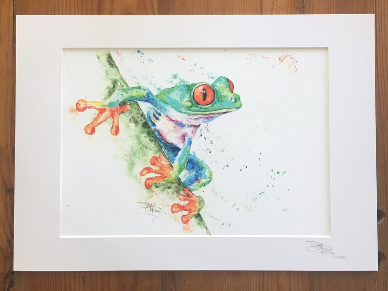 Red Eyed Tree Frog, Limited Edition Print, Colourful Frog Giclee Art Print, Signed Watercolour Painting by Wildlife Artist Sandi Mower image 4