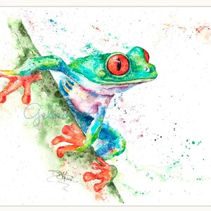 Red Eyed Tree Frog, Limited Edition Print, Colourful Frog Giclee Art Print, Signed Watercolour Painting by Wildlife Artist Sandi Mower image 2