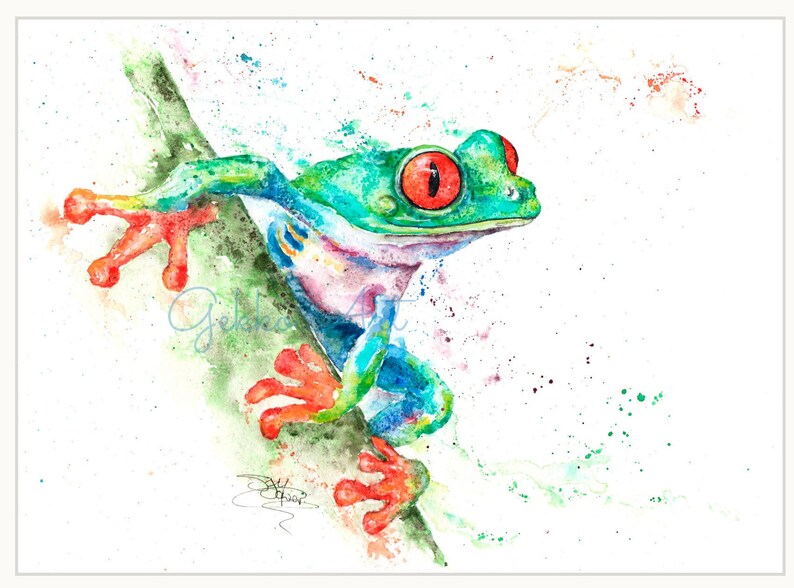 Red Eyed Tree Frog, Limited Edition Print, Colourful Frog Giclee Art Print, Signed Watercolour Painting by Wildlife Artist Sandi Mower image 2