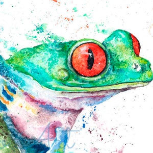 Red Eyed Tree Frog, Limited Edition Print, Colourful Frog Giclee Art Print, Signed Watercolour Painting by Wildlife Artist Sandi Mower image 5