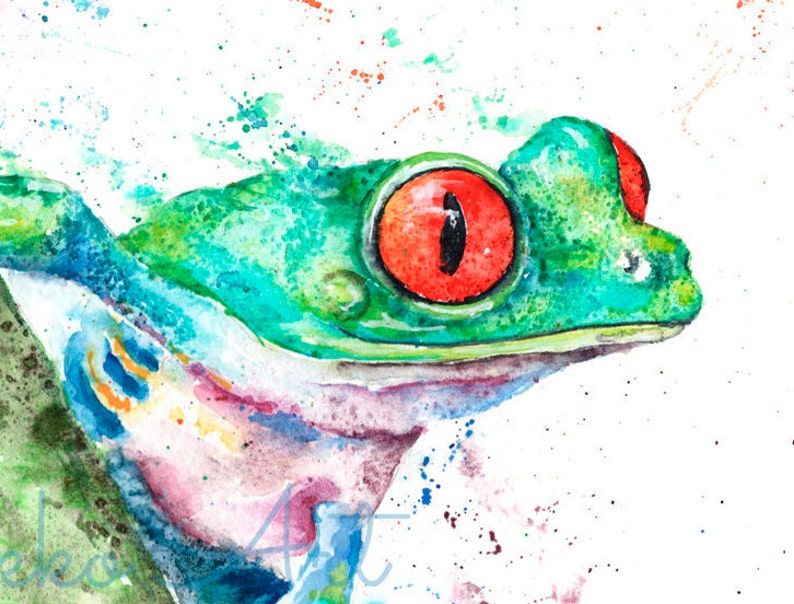 Red Eyed Tree Frog, Limited Edition Print, Colourful Frog Giclee Art Print, Signed Watercolour Painting by Wildlife Artist Sandi Mower image 5