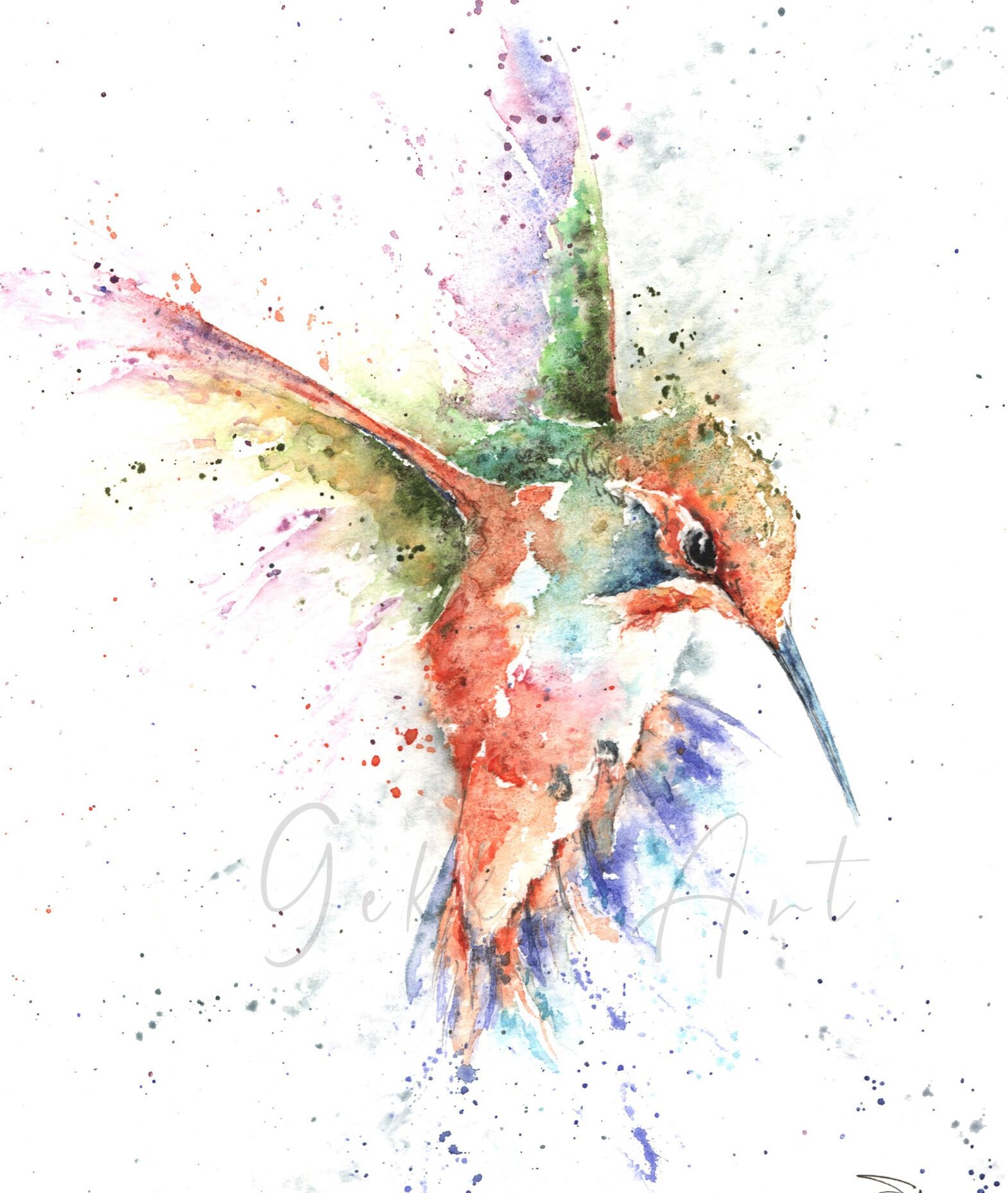 アカフサハチドリのプリント、水彩画アートプリント、野生動物