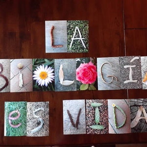 La biologia es vida--classroom decor--biology class--sciencia--life science banner--biology banner