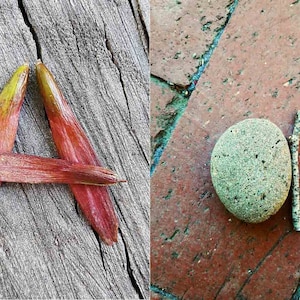 Alfabeto digital de la naturaleza: abecedario en mayúsculas y minúsculas, abecedario de la naturaleza, preescolar de la naturaleza, aula de Reggio, decoración del aula de la naturaleza
