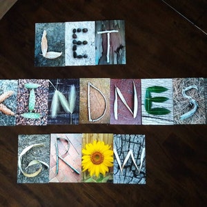 Let kindness grow banner--anti-bullying banner--classroom decor--kindness sign--farmhouse classroom decor--nature letters--4x6 in photos