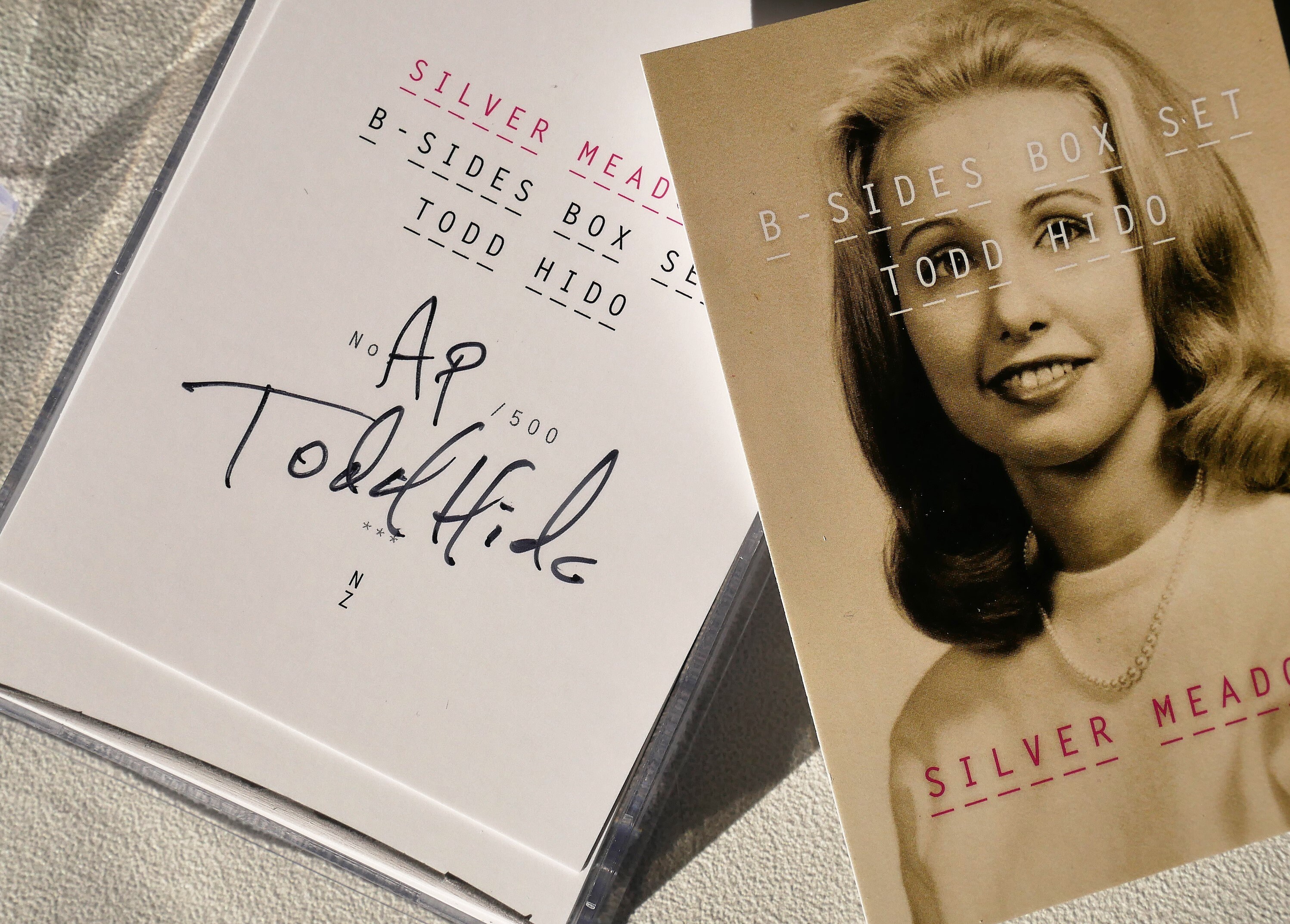 サイン本 希少 todd hido silver medows トッドハイド サイン入 / Signed】Excerpts From Silver Meadows / Todd Hido