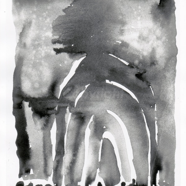 GEORGIA O'KEEFFE Original Silver Photo Addison Gallery, Primera luz en llanuras