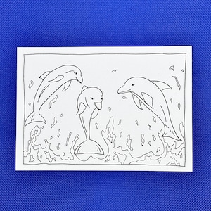 Dolphin colouring in postcard, dolphin lovers card.
