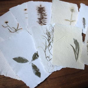 Handmade herbarium paper, deckle edge set of 10 sheets