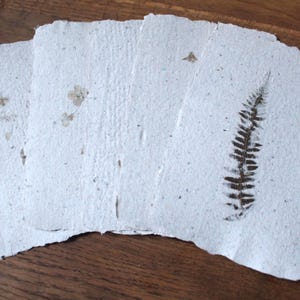 Papier d'herbier fait main, bordure frangée, lot de 5