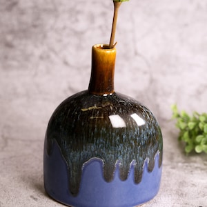 Könnte beinhalten: Eine blaue und braune Keramikvase mit einer weißen Blume. Die Vase hat einen abgerundeten Boden und einen schmalen Hals.