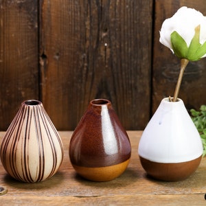 Può includere: Tre vasi in ceramica in stili diversi. Il vaso a sinistra ha strisce marroni su uno sfondo crema. Il vaso centrale è marrone con un fondo marrone chiaro. Il vaso a destra è bianco con un fondo marrone e ha un solo fiore bianco.