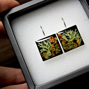 Terrarium earrings Lichen earrings Resin moss earrings Organic earrings Nature earrings Black earrings Square earrings Earrings with moss
