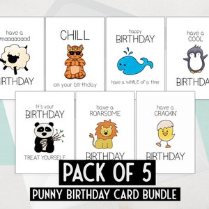 Lot de 5 cartes d'anniversaire amusantes, jeux de mots mignons, emballage multiple