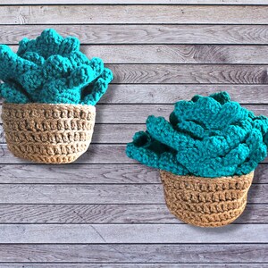May include: Two handmade crochet succulent plants. The succulents are a vibrant teal color and sit in woven tan-colored pots. The background is a wooden plank design.