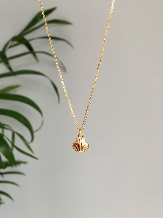 Seashell charm best sale necklace