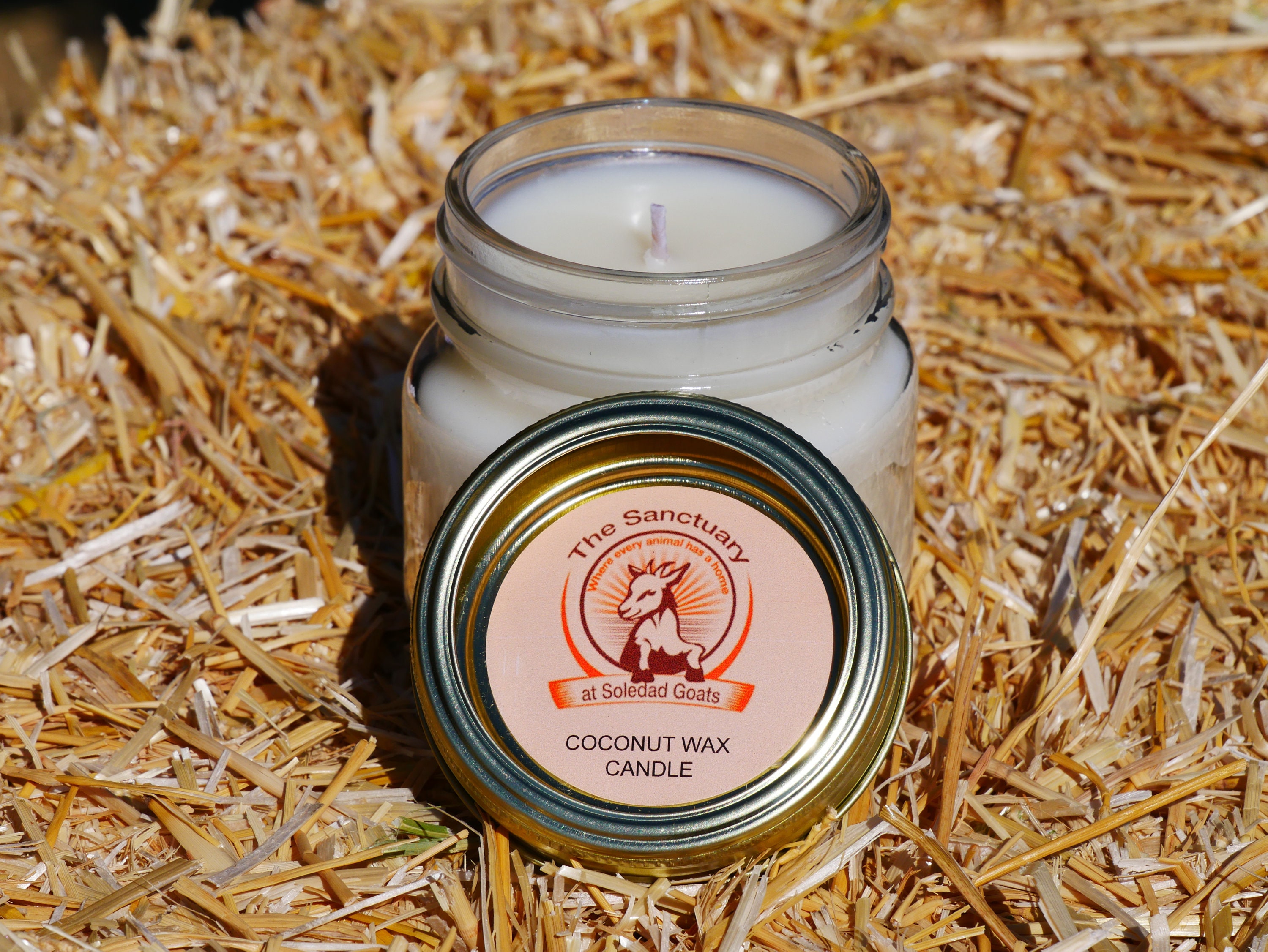 VEGAN COCONUT CANDLE Coconut wax vegan based candle | Etsy