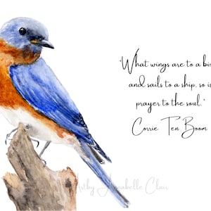 Könnte beinhalten: Aquarellmalerei eines Bluebirds, der auf einem Ast sitzt. Der Vogel hat blaue, orange und weiße Federn. Das Kunstwerk enthält das Zitat "What wings are to a bird and sails to a ship, so is prayer to the soul." von Corrie Ten Boom.