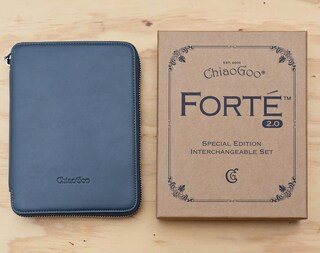 ChiaoGoo Custodia Accessori In Rete Nera – 17x13 Cm – Porta Ferri E Uncini Per Maglia E Uncinetto