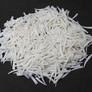 Washed and Unsorted Ridged Dentalium Shells, .75-1&quot; Avg. Length, 100 Grams Purchase
