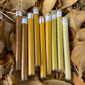 11/0 Honey Bear Japanese Seed Bead Mini Pack, 9 Colors Included, 1 Ounce Tube of Each