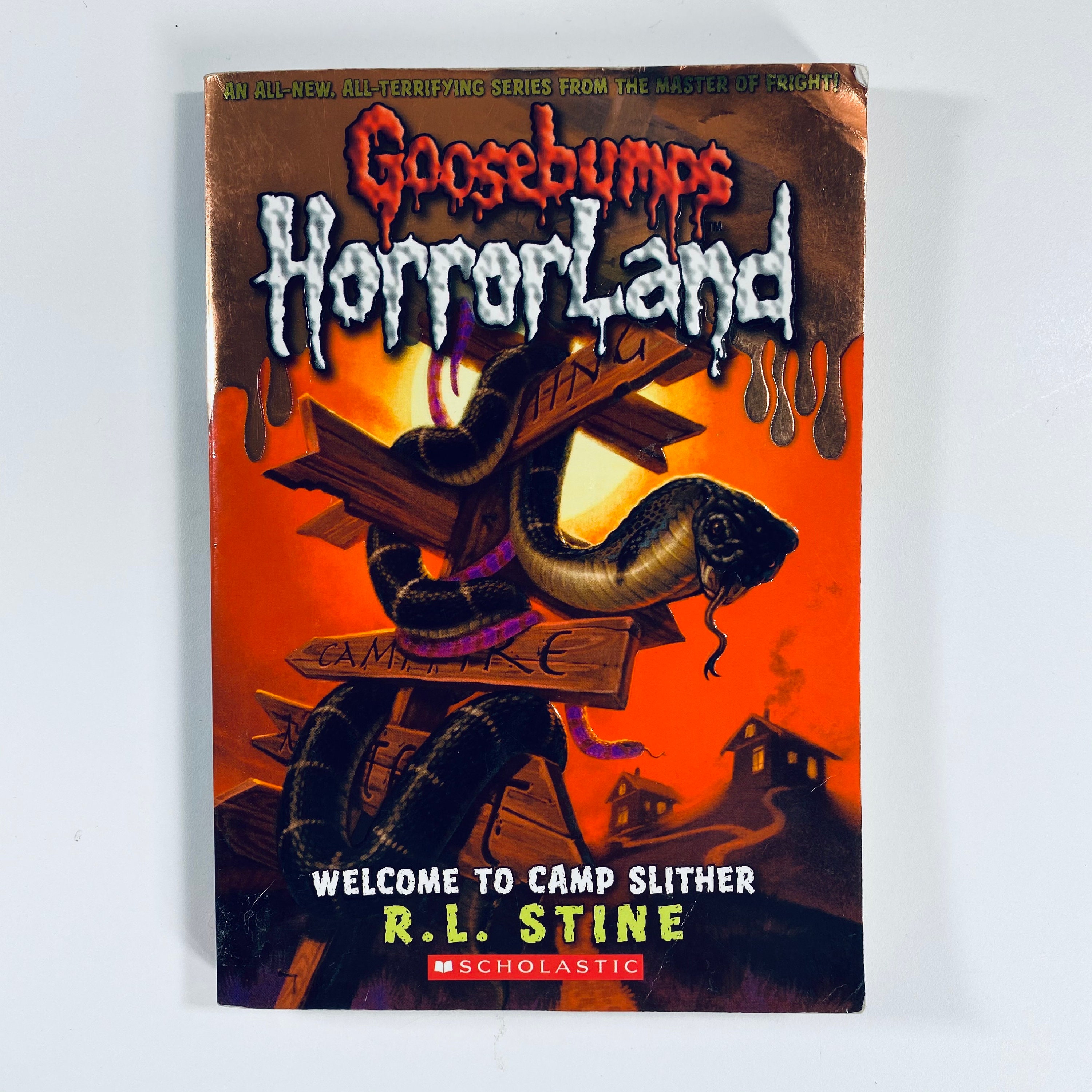 Goosebumps Horrorland Series by R.L. Stine / Vintage YA Goosebumps Horrorland Series by R.L. Stine / Vintage YA