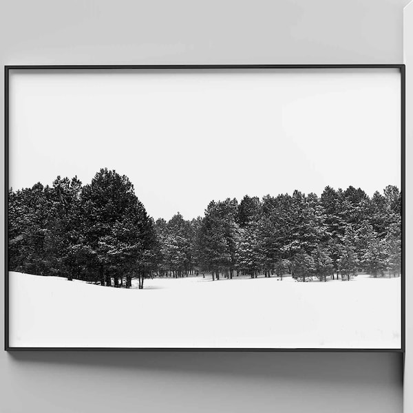 Landscape Photography Print Winter Snow Storm, Southwest, Angel Fire New Mexico, Wall Art, Forest, Nature photography, Digital Download