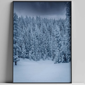 Landscape Photography Print trees covered in snow in winter, Southwest, Angel Fire New Mexico, Wall Art, nature photography