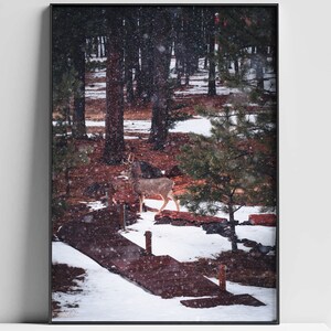 Landscape Photograpy of a deer in the woods, deer in the snow, wildlife photography, digital download