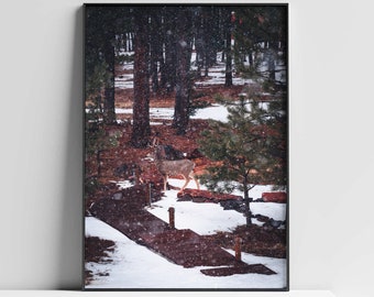 Landscape Photograpy of a deer in the woods, deer in the snow, wildlife photography, digital download