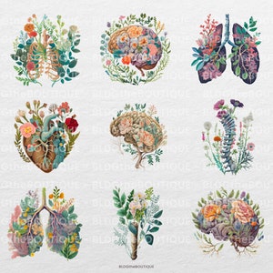 May include: A set of nine digital illustrations featuring various human organs, such as the heart, lungs, brain, and spine, with floral elements incorporated into their design.