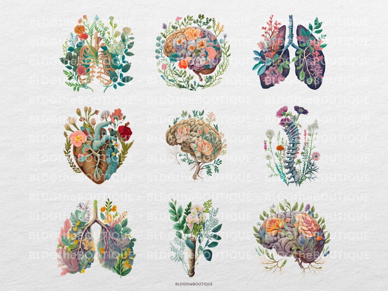 May include: A set of nine digital illustrations featuring various human organs, such as the heart, lungs, brain, and spine, with floral elements incorporated into their design.