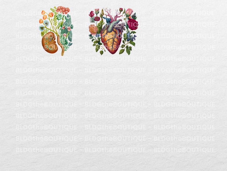 May include: Two anatomical illustrations with floral elements. The first image shows a kidney with flowers and leaves growing from it. The second image shows a heart with flowers and leaves growing from it.